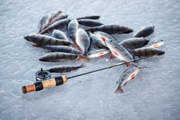 Ice fishing gambling game, ice fishing live casino Ice fishing gambling game, ice fishing live casino